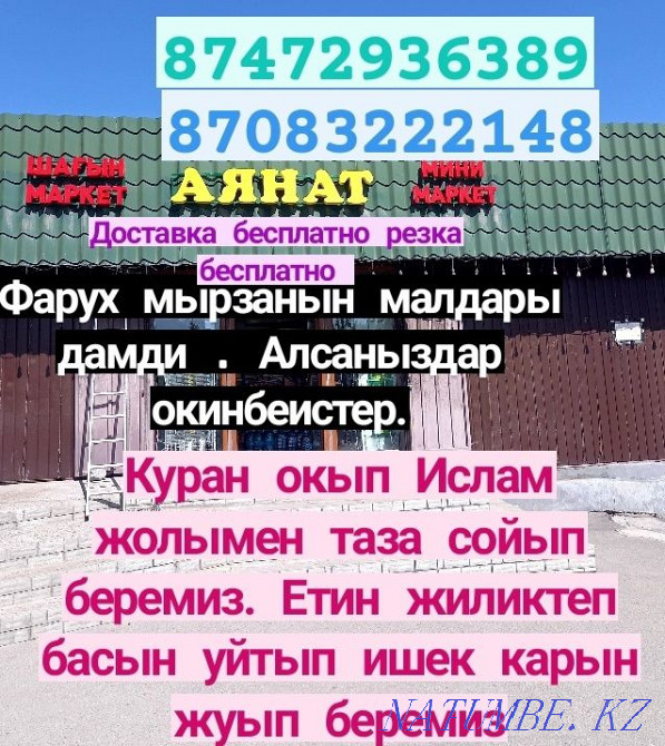 Кой Бараны токтушки продаётся 35000тысч г Алматы Доставка бесплатно ре Алматы - изображение 1
