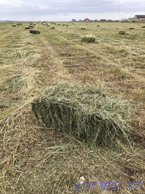 Таза Жонышка 100% прес  - изображение 3