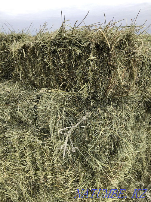 Таза Жонышка 100% прес  - изображение 4