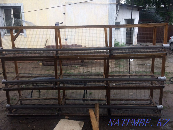 Coop for laying hens Almaty - photo 1