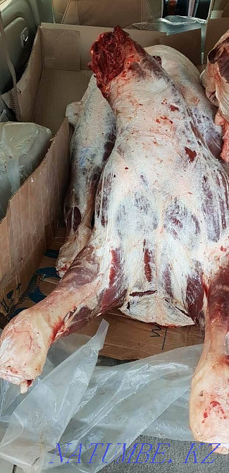 Butcher kasapsha butchers kasapsha Astana - photo 1
