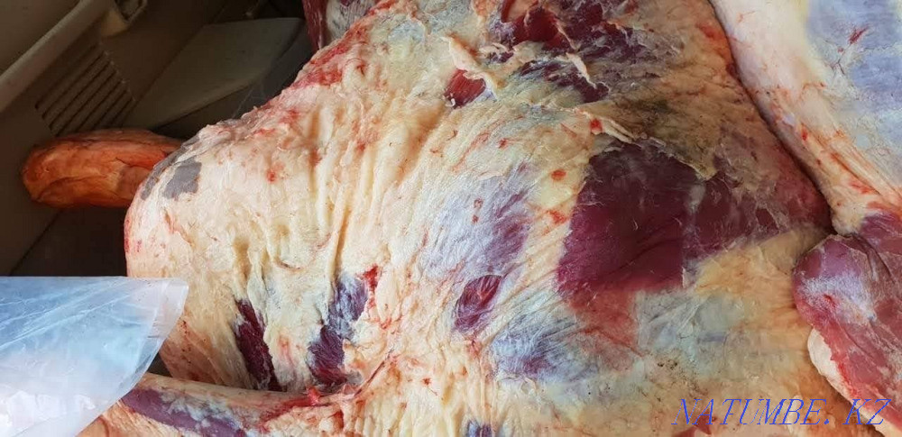 Butcher kasapsha butchers kasapsha Astana - photo 3
