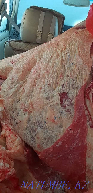 kasapshy butcher Astana - photo 6