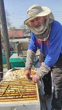 Пчёлы. Продам пчелосемьи на высадку. Пчелы. Улья. Пчелосемьи. Almaty