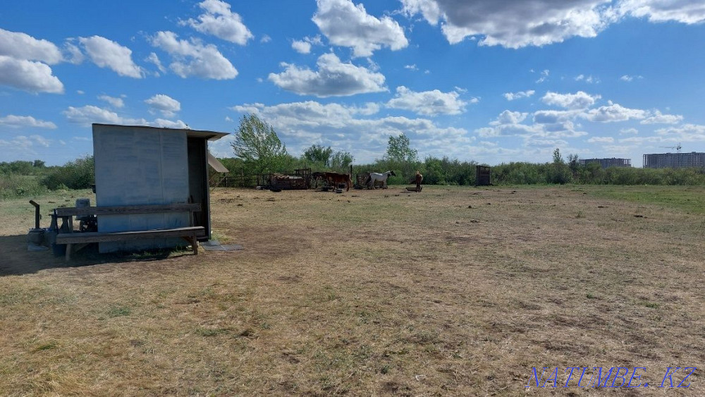 Саумал лечебный ,всё в открытую  - изображение 1