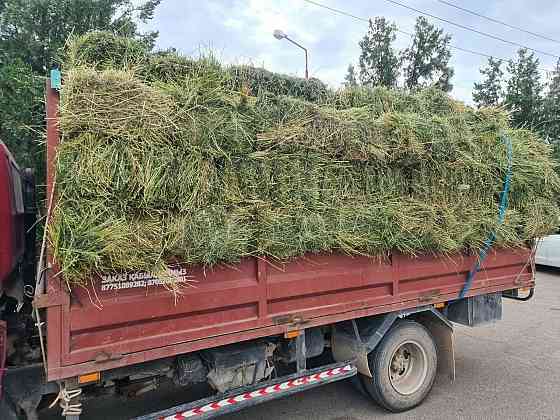 Жем.Продам универсальный гранулированный корм для скота, а также птиц. Конаев