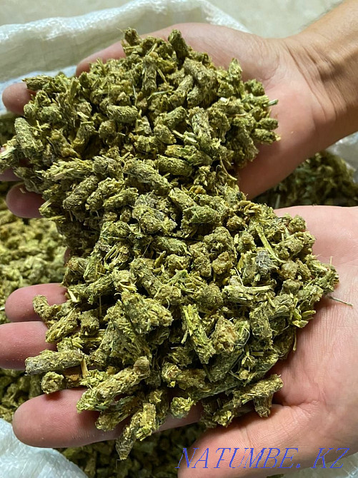 Zhem. Sell universal granulated feed for livestock and birds. Kapshagay - photo 2