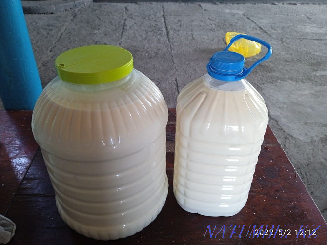 Sell Milk Fatty Узынагаш - photo 1