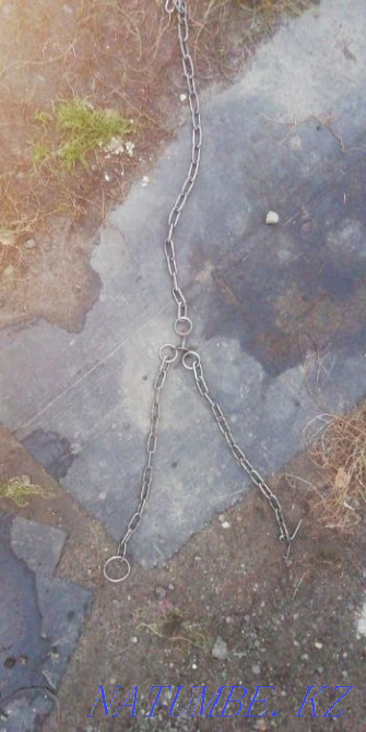 Chain for leashing cattle with a turntable Pavlodar - photo 1