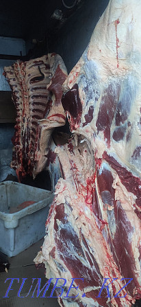 Slaughter of cattle for meat Pavlodar - photo 2