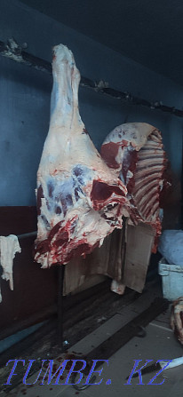 Slaughter of cattle for meat Pavlodar - photo 3