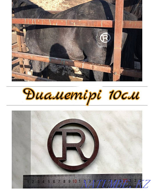 Та?ба басу, тавро, жидкий азот Каменка - изображение 4