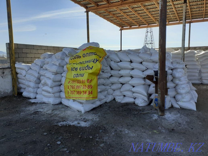 Food salt wholesale Taraz, delivery across Kazakhstan Taraz - photo 1