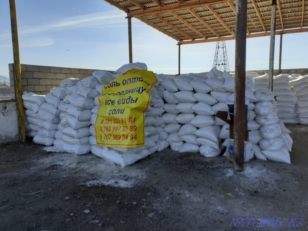 Соль пищевая оптом Тараз, доставка по Казахстану Тараз - изображение 1