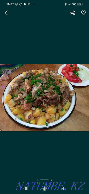 Kurke / k?rke / turkey poults daily for 1500 Мухаметжан Туймебаева - photo 4