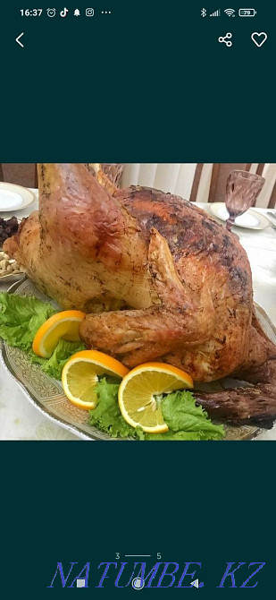 Kurke / k?rke / turkey poults daily for 1500 Мухаметжан Туймебаева - photo 3