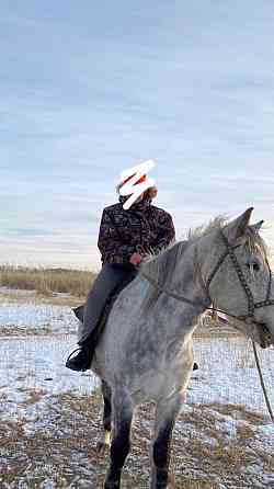 Продам рабочего спокойного мерина(коня) 8 лет Павлодар