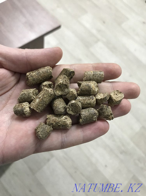 Корма для Коров, телят, лошадей  - изображение 1