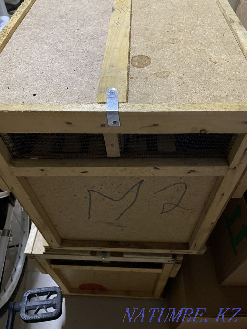 Sell bee packaging for bees Astana - photo 1