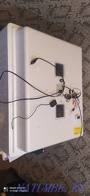 I will sell the incubator Laying hen. Balqash - photo 1