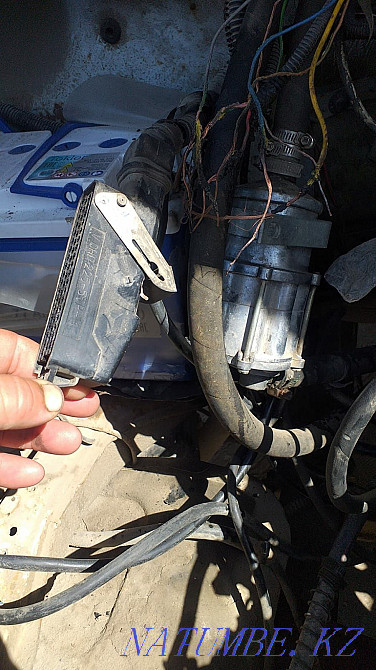 Семиз кои токты сатылады соип беремиз келисип аубакирова 86 деуде Муратбаев - изображение 3