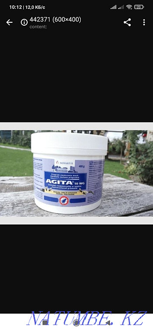 Агита.шыбын д?рі. Шымкент - изображение 1