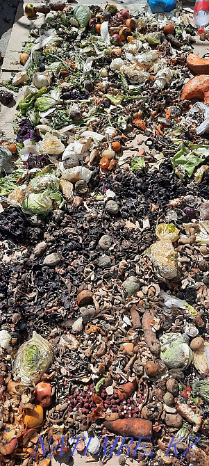 Livestock waste Талас - photo 1