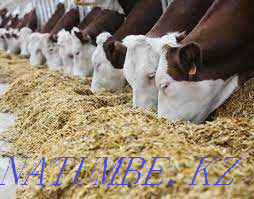 Compound feed for dairy cows Almaty - photo 4