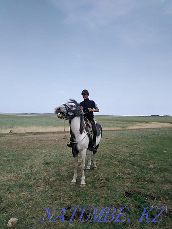 I will sell Ai?yr 6 years of training, early school held Kokshetau - photo 2