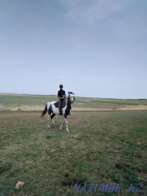 Ай?ырды сатамын 6 жыл окыдым, ерте мектепте откен  Көкшетау - изображение 1