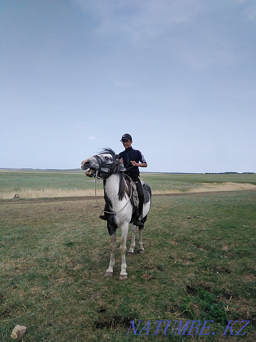 Ай?ырды сатамын 6 жыл окыдым, ерте мектепте откен  Көкшетау - изображение 2