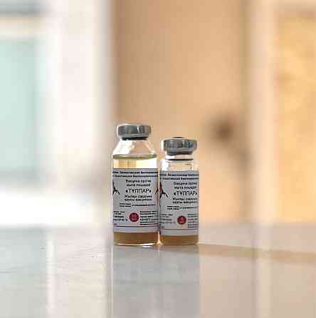 Вакцина против(Сакау) мыта лошадей Кокшетау