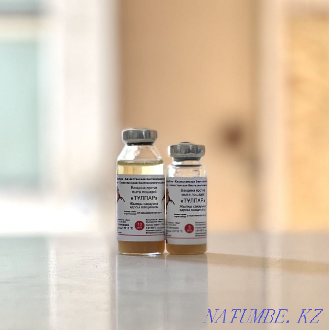 Vaccine against (Sakau) washed horses Kokshetau - photo 1