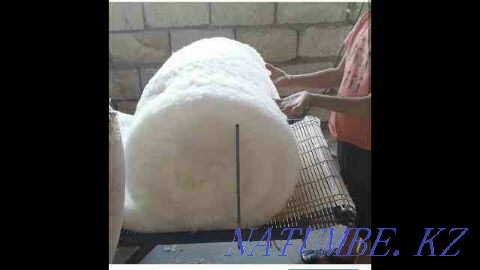 Makta zhun tutu Combing wool and cotton wool ma? t?tu Astana - photo 2