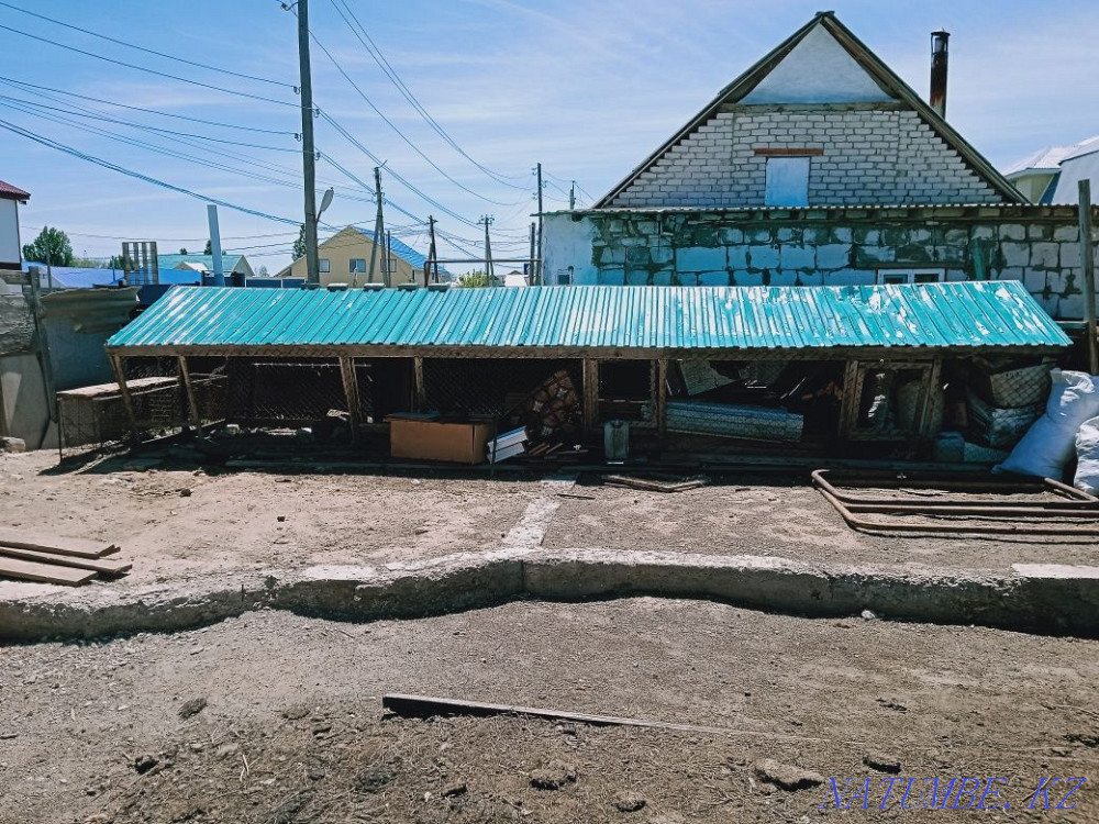 Chickens, Rooster, chickens, Balapan, Geese Нура - photo 2