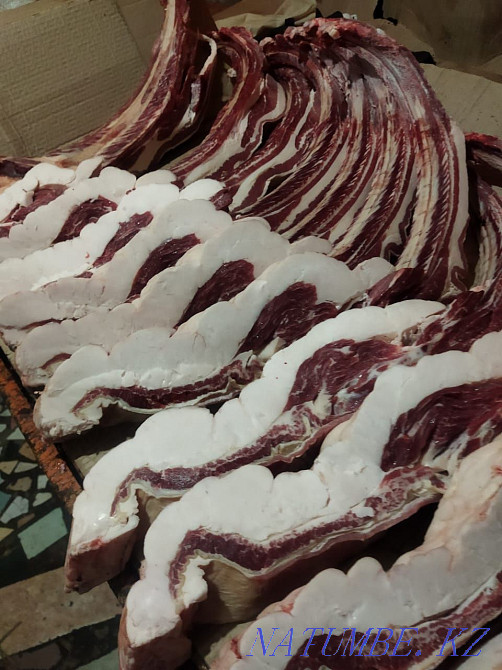 Продам жирных лошадей с собственного откорма Петропавловск - изображение 2