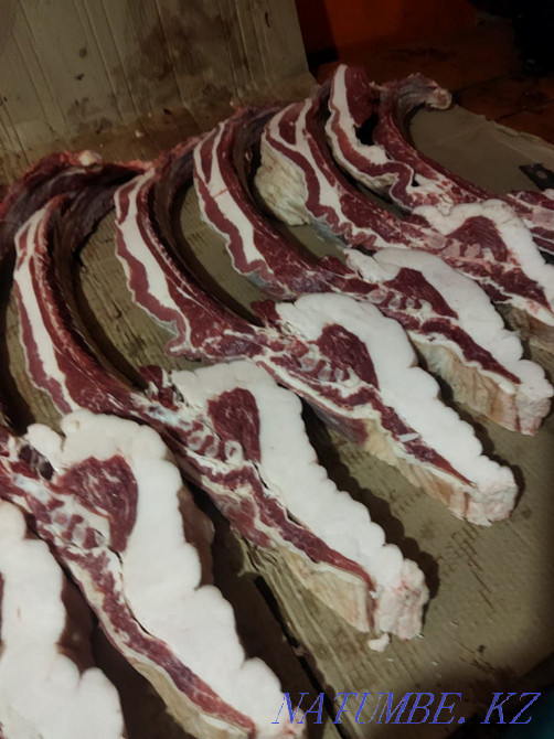 Продам жирных лошадей с собственного откорма Петропавловск - изображение 3