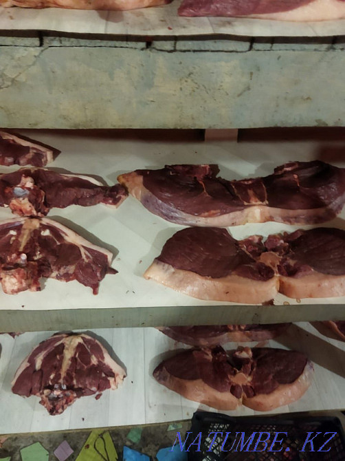 Продам жирных лошадей с собственного откорма Петропавловск - изображение 4