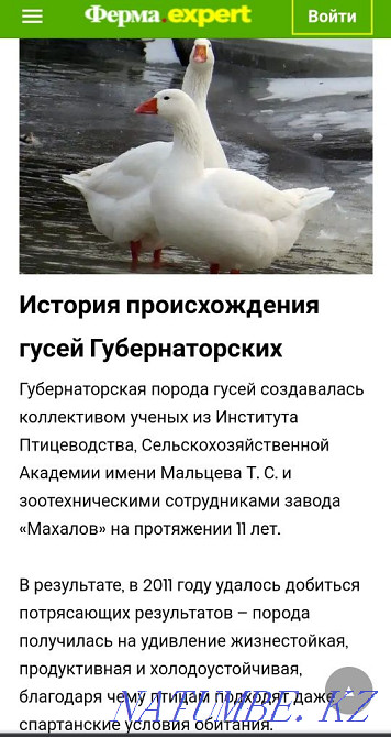 Goslings Governor Linda Gray for May Kostanay - photo 2