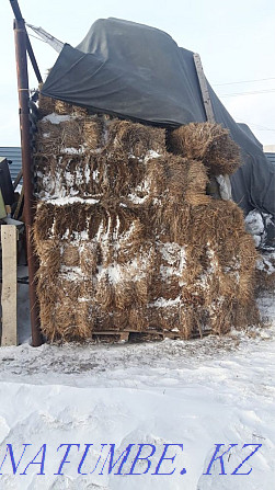 Sell hay in bales Astana - photo 1