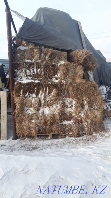 Sell hay in bales Astana - photo 1