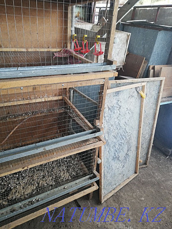 Urgently selling a three-tiered cage for quails Qaskeleng - photo 2