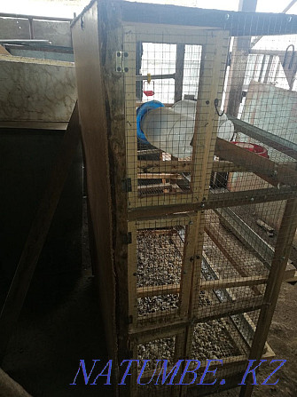 Urgently selling a three-tiered cage for quails Qaskeleng - photo 3
