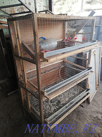 Urgently selling a three-tiered cage for quails Qaskeleng - photo 1