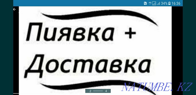 Пиявки косметические по 400тг. С?лік в Актау Актау - изображение 3