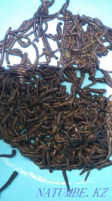 Косметикалық сүлгілер 400тг. Ақтау қ  Ақтау  - изображение 2