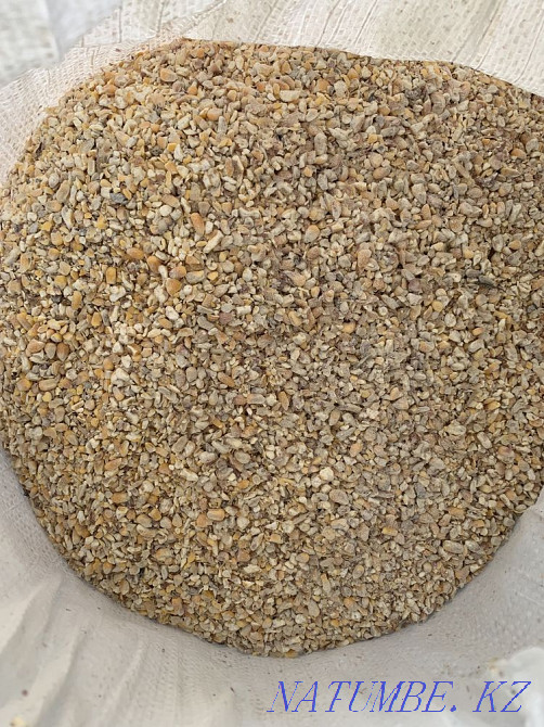 Corn chaff - crushed corn Esik - photo 1
