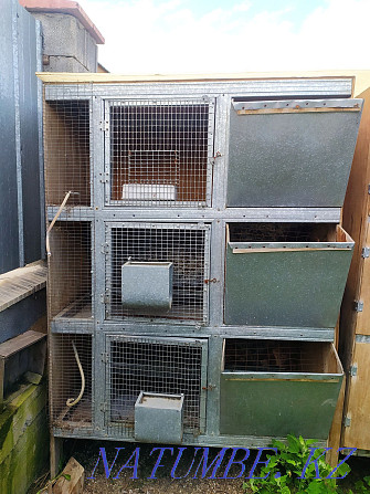 Cages for breeding rabbits  - photo 2