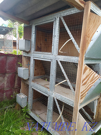 Cages for breeding rabbits  - photo 3