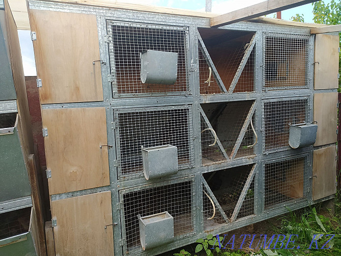 Cages for breeding rabbits  - photo 1